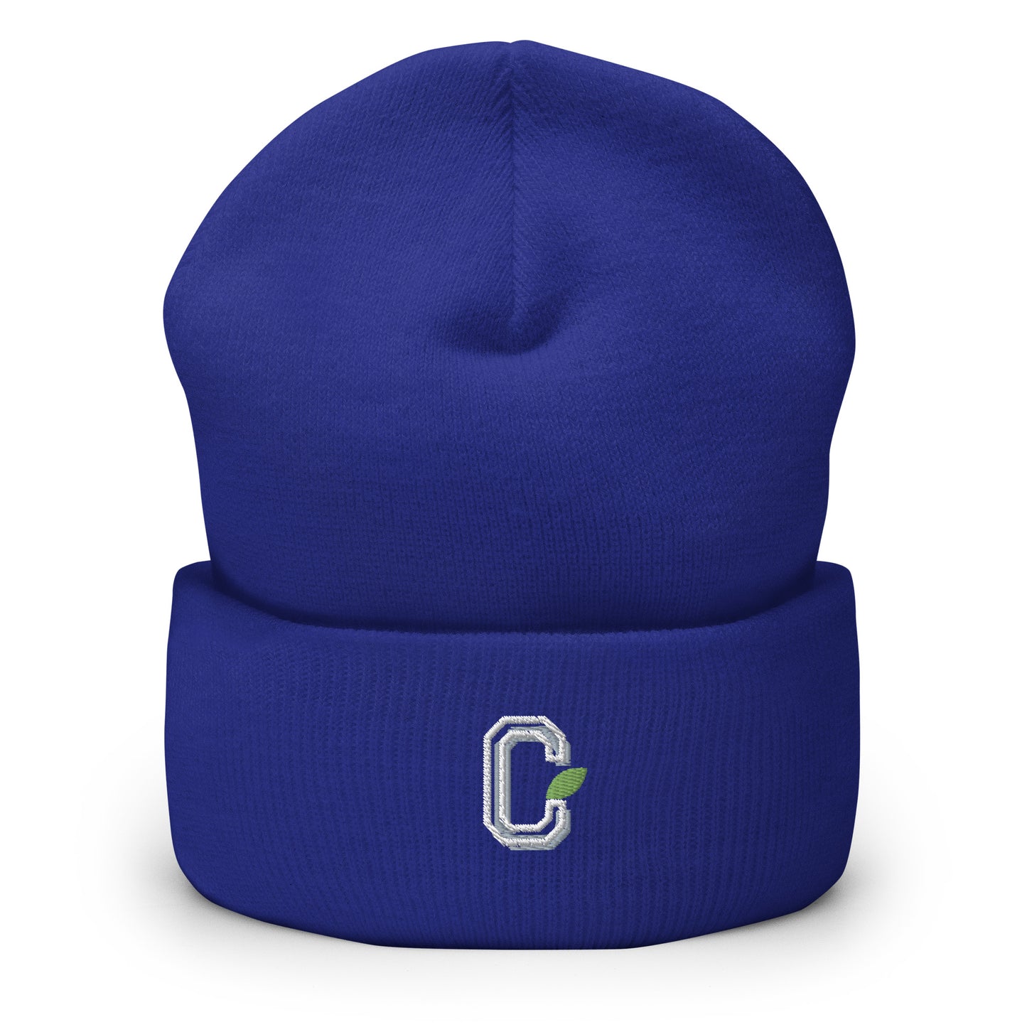 Cuffed Citrus Blue Beanie