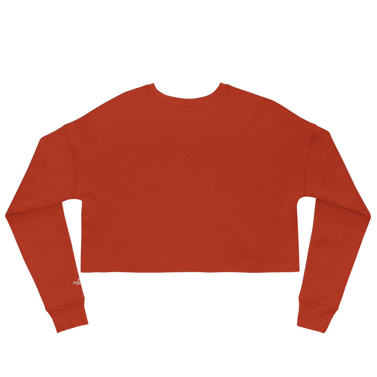 St. Cloud Citrus Brick Women's Crop Sweatshirt