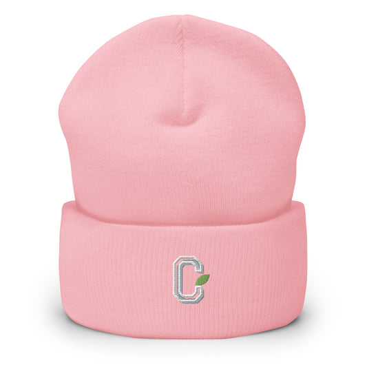 Cuffed Citrus Beanie Pink