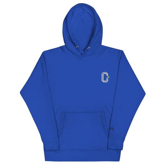 Osan Blue Hoodie